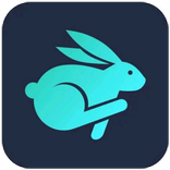”Bunny VPN