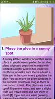 Care for Your Aloe Vera Plant capture d'écran 3