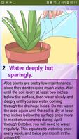 Care for Your Aloe Vera Plant تصوير الشاشة 2