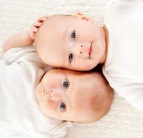 Twins 截图 3