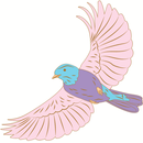 Little Bird Pilates APK