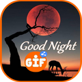 ”Good Night Pictures