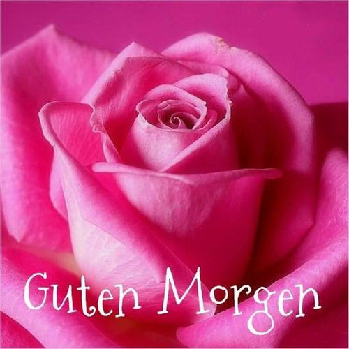Android için Guten Morgen Blumen GIF - APK'yı İndir