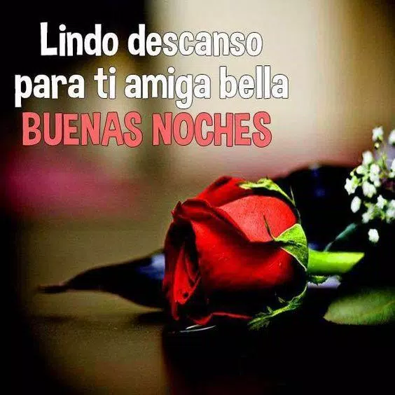 Buenas Noches Fotos Rosa GIF APK for Android Download Buenas Noches Fotos Rosa GIF APK for Android Download