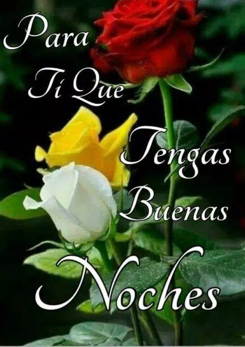 Buenas Noches Fotos Rosa GIF APK for Android Download Buenas Noches Fotos Rosa GIF APK for Android Download