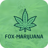 Fox-Marijuana Customer App
