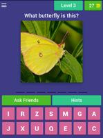 Guess Little Butterfly পোস্টার