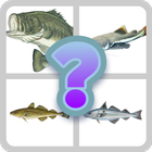 Guess Little Fish 圖標