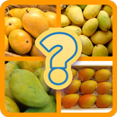 Guess Little Mango APK