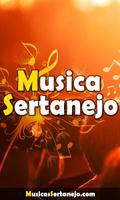 Música Sertanejo Affiche