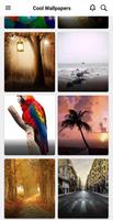 Cool Walpapers স্ক্রিনশট 3