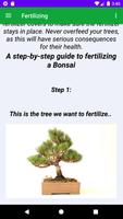 Bonsai Tree Grow & Care Tips Ekran Görüntüsü 2