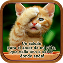 Imágenes Con Mensajes Bonitos APK