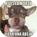 Memes Graciosos