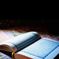 The Holy Quran (free) capture d'écran 1
