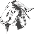 Best Goat Breeds For Milk and Meat
