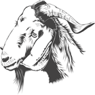Best Goat Breeds icône