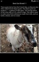Best Goat Breeds Affiche