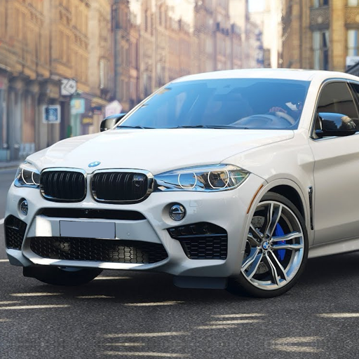 Original BMW X6 Driving Mode