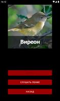 Угадай птицу по звуку capture d'écran 3