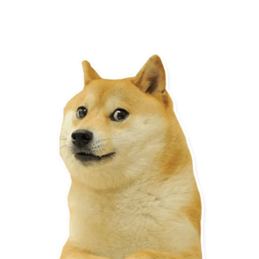 Meme Stickers Apk 0 0 0 34 Meme Download For Android Download Meme Stickers Apk Latest Version Apkfab Com