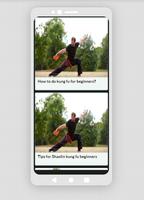Shaolin Kung Fu capture d'écran 2