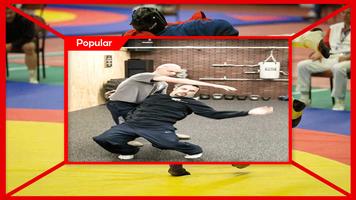 Apprenez les arts martiaux de Systema capture d'écran 3