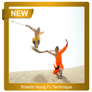 Shaolin Kung Fu Technique-APK