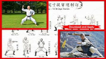 برنامه‌نما Shaolin Kung Fu Technique عکس از صفحه