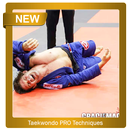 Taekwondo PRO Techniques APK