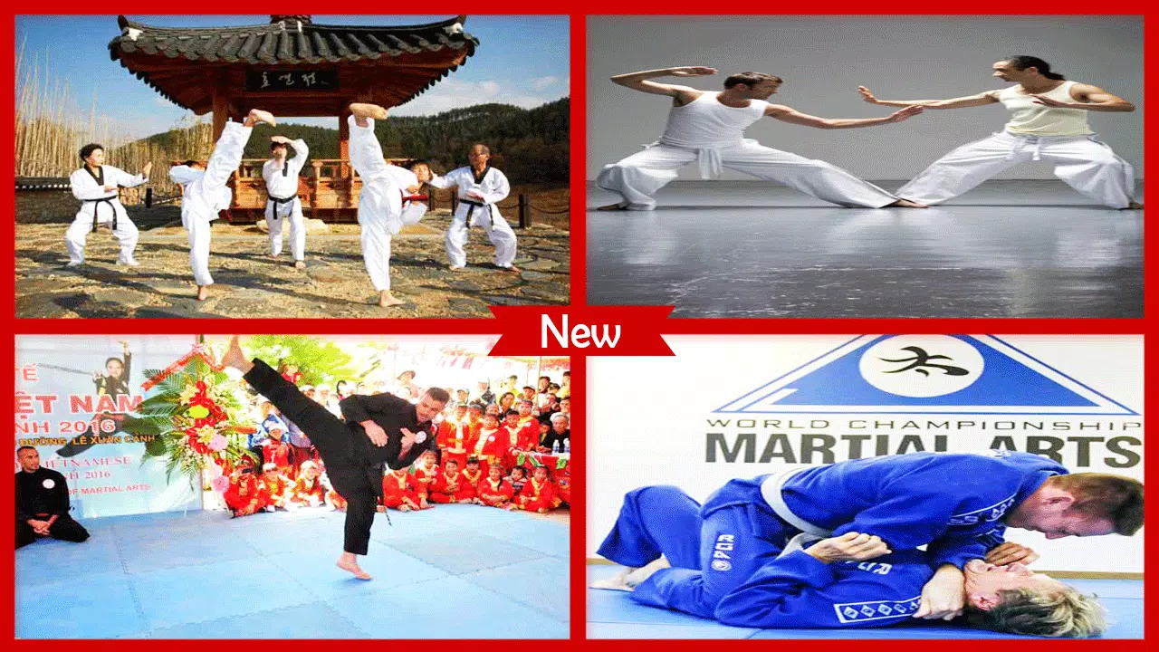 Taekwondo PRO Techniques APK for Android Download