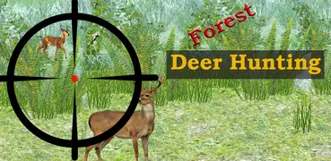 Wald Hirschjagd