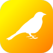 Birds in Britain icon