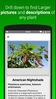 Plants Dictionary screenshot 1