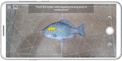 Fish ruler Cartaz
