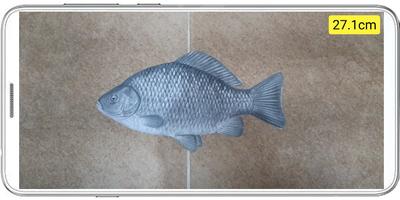 Fish ruler imagem de tela 1