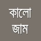 KALO ZAAM আইকন