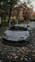 aventador wallpaper screenshot 2
