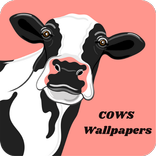 cow wallpaper