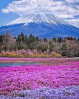 Mount fuji wallpaper स्क्रीनशॉट 1