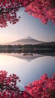 Mount fuji wallpaper स्क्रीनशॉट 3