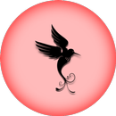 مريم - mariam APK