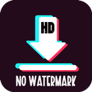 TikDown - HD NO Watermark APK