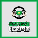 운전자보험 비교 운전자보험교통사고위로금 운전자보험사고위로금 운전자보험위로금 운전자보험벌금