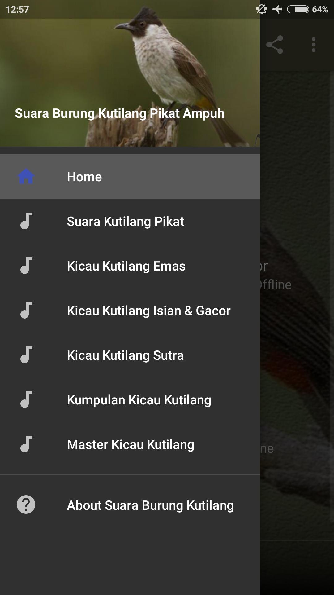 Suara Pikat Kutilang Ampuh For Android Apk Download