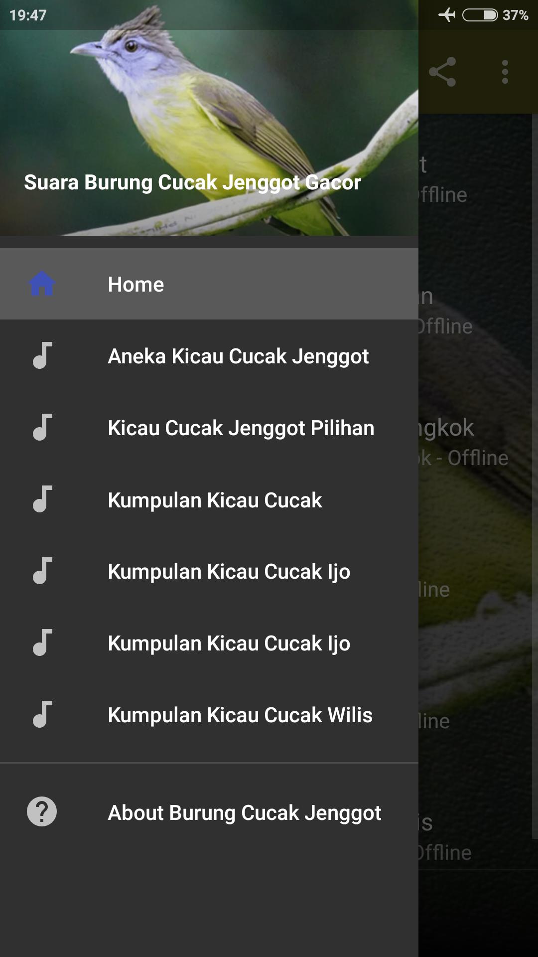 Kicau Burung Cucak Jenggot Gacor For Android Apk Download