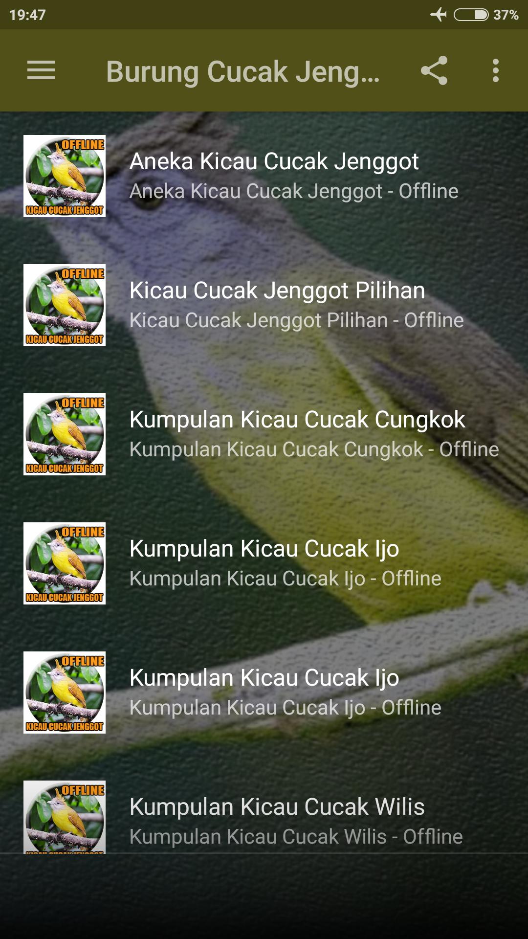 Kicau Burung Cucak Jenggot Gacor For Android Apk Download
