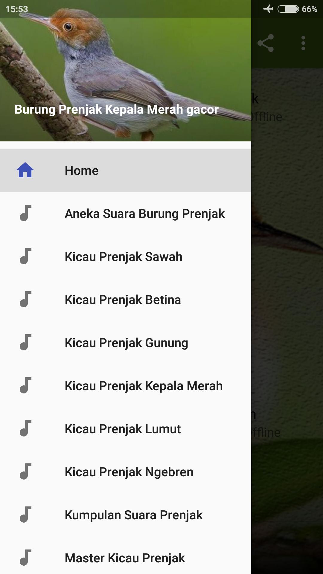 Kicau Prenjak Kepala Merah Gacor for Android - APK Download