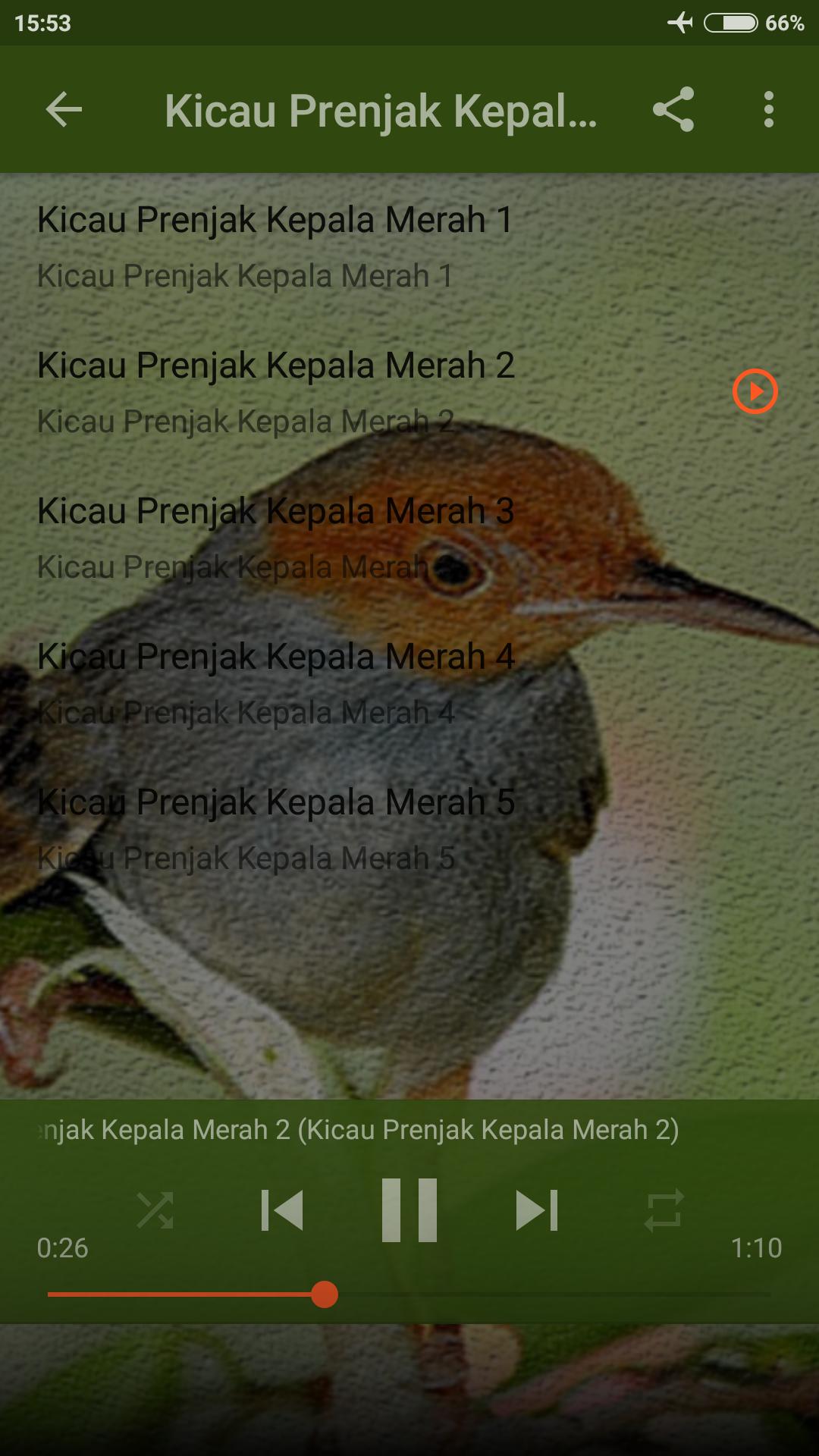 Kicau Prenjak Kepala Merah Gacor For Android Apk Download