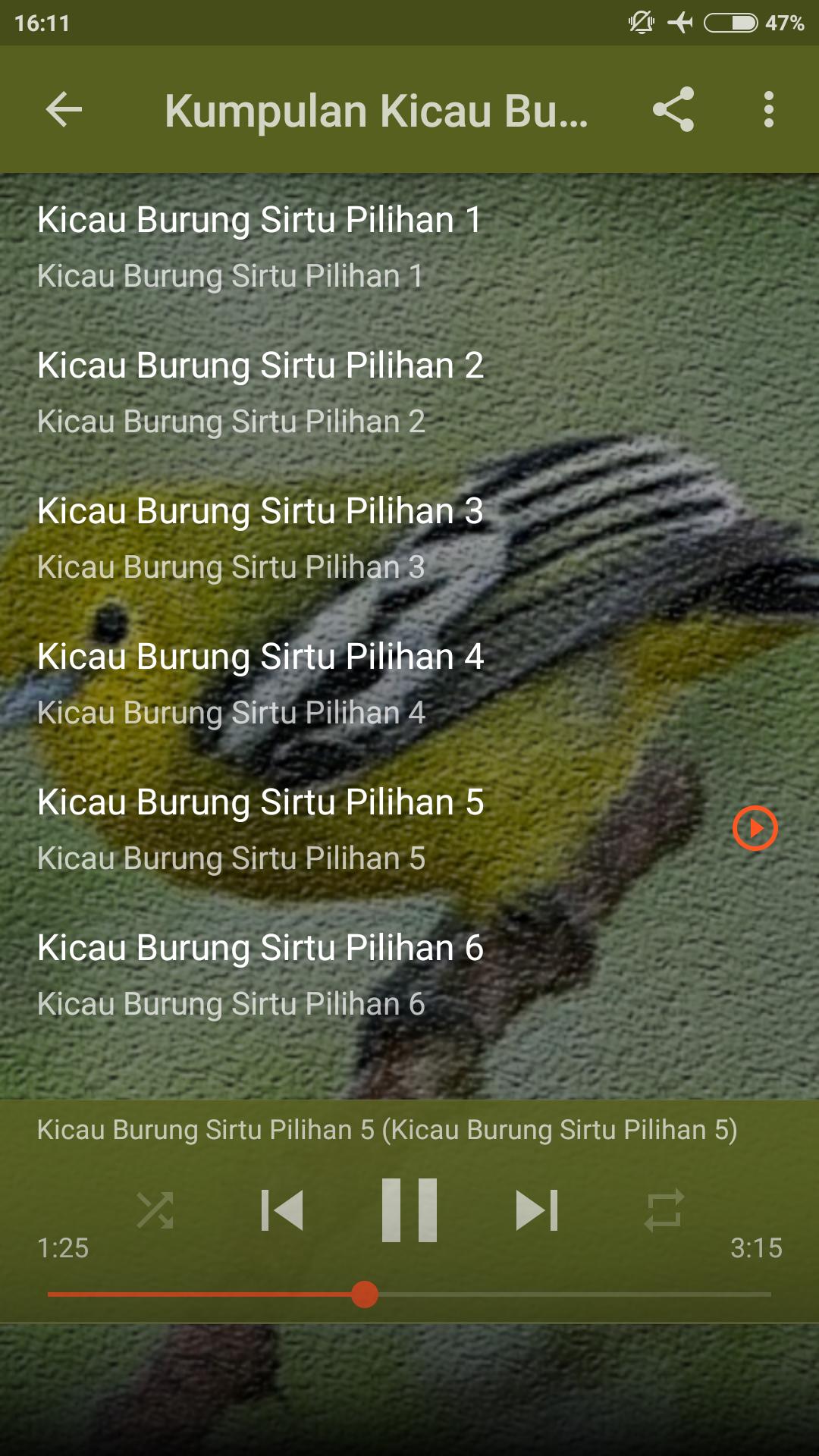 Suara Burung Cipoh Gacor For Android Apk Download